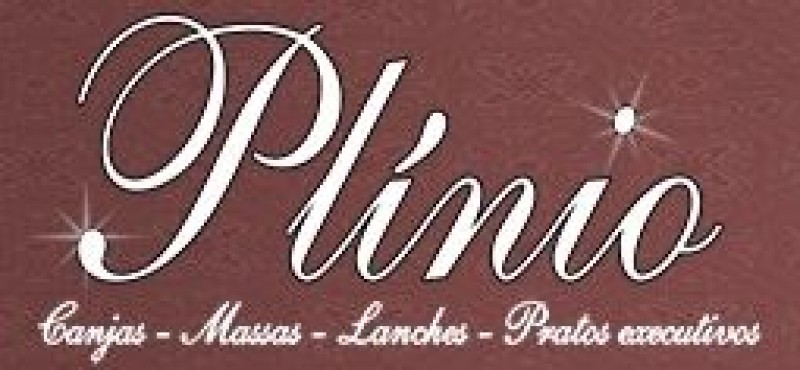 Plinio Lanches Pizzas